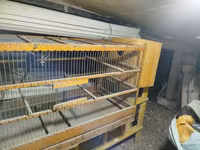 Taxta quş qəfəsi və yuvalama qutusu dəsti - Material: möhkəm taxta — foto 1