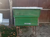 3 ədəd arı yeşiyi korpusuzlar 12 ramkalıqdı özüm düzəltmişəm — foto 2