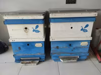 Arı pətəkləri – komplekt korpuslu taxta arıçılıq qutuları Məhsul — photo 2