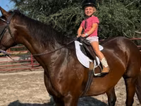 Кобила, Quarter Horse — фото 1