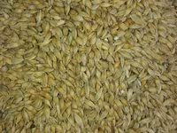 Vind granule la iepuri — الصورة 4