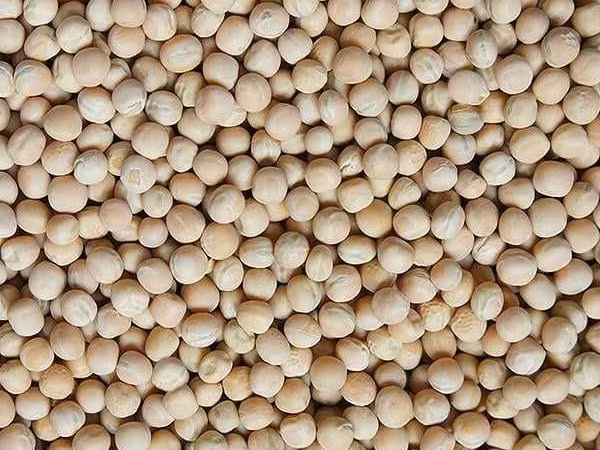 Mazăre