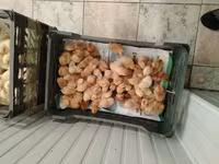 रॉस 308 — फ़ोटो 2