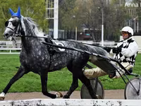 At, Orlov Trotter — foto 1