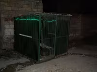 Metalkarkas heyvan qəfəsi / açıq hava volyeri - Material: tam metal — Foto 1