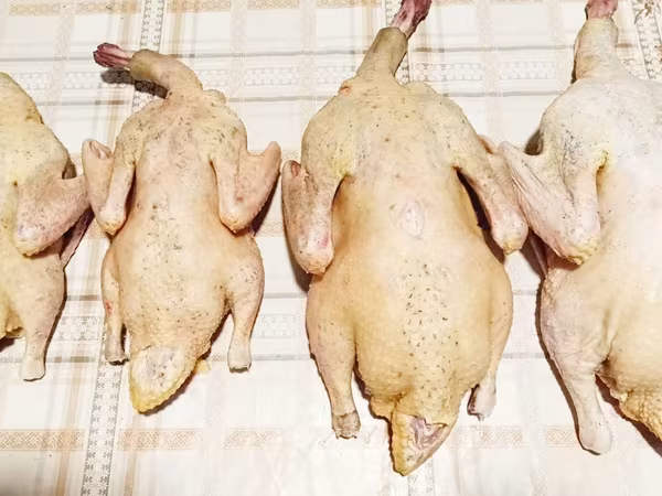 Продаются мясо немых уток
