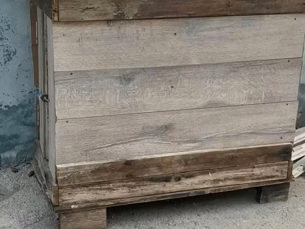 Super möhkemdir 14 16 qusluqdur qiymet 30 a yendi unvan xirdalan bir