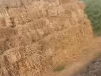 Ot presi satılır - 600 ədəd Keyfiyyətli və təbii ot presləri satılır — photo 2