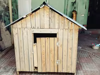 Taxta it evi / dam - Material: təbii taxta lövhələr, möhkəm karkas - — الصورة 4