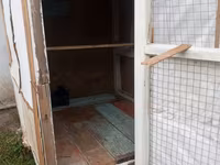 Ev quşları üçün sadə taxta qəfəs/kümes. Xüsusiyyətlər: - Material — 照片 3