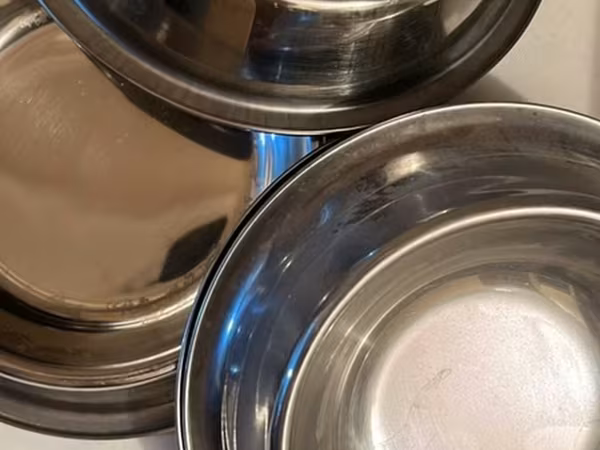 Paslanmayan poladdan heyvan yemək qabları dəsti