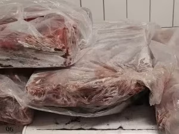 пашина и тазобедренный отруб
