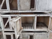 Çoxbölməli taxta qəfəs sistemi - Material: möhkəm taxta karkas, ön — 1-rasm