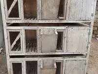 Çoxbölməli taxta qəfəs sistemi - Material: möhkəm taxta karkas, ön — 2-rasm