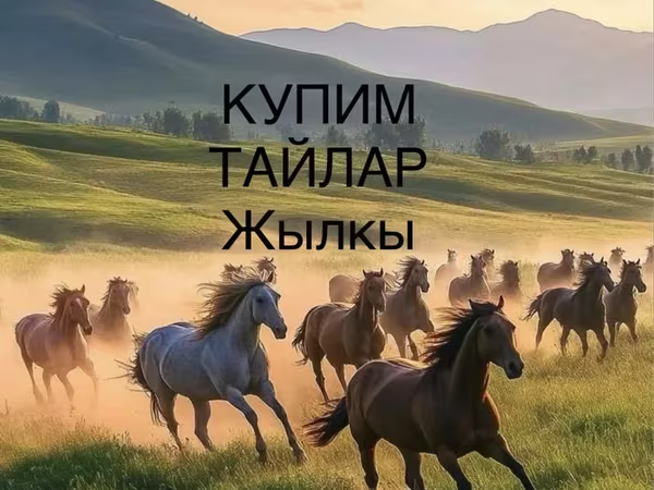 Кінь, Horse breed — Казахстан