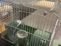 Hamster ucun qefes satilir, elave oyuncaqlar da var. Icini deyismek — Foto 1