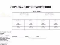 Баран, Лакон овца — фото 3