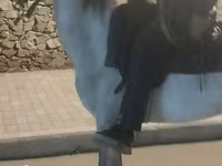 公马, Horses — 照片 1