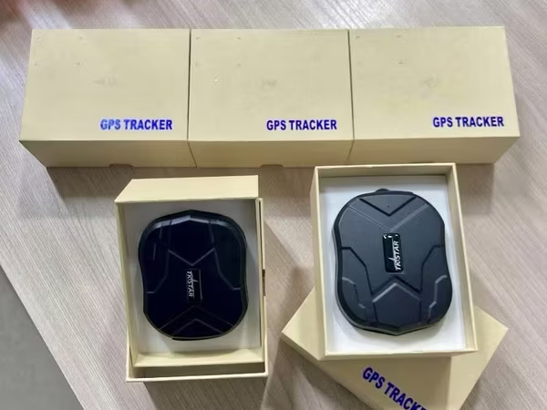 Лошади, Жпс трекер для лошадей, GPS, Бие, жабагы, тай, жеребец