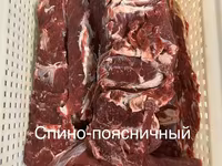 Спинно-поясничный отруб от производителя — foto 2