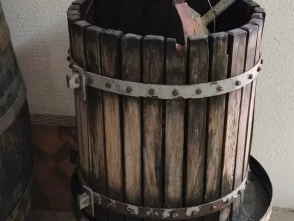 Пресс для винограда