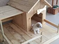 Taxta it evi və açıq veranda - Material: tamamilə təbii ağacdan — photo 3