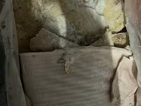 Жир свиной 3 компартмент — Foto 4
