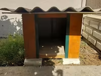 Taxta it evi - Material: möhkəm taxta korpus, yanları boyalı; üst — foto 1
