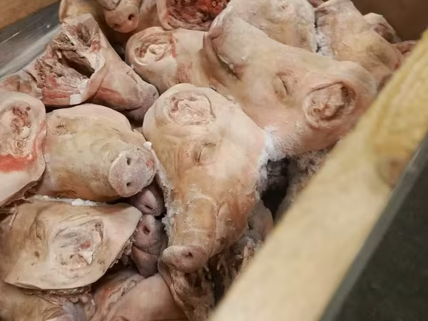 Головы свиные замороженные