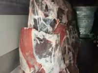 Говядина в полутушах охл ГОСТ 1 кат. — photo 4