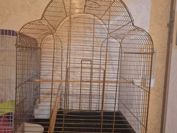 Qızılı rəngdə geniş quş qəfəsi - Material: metal konstruksiya, qızılı