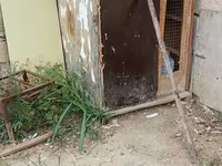 Birde problemi qapısın srublamalisiz Taxta göyərçin yuvası/qəfəs — foto 4