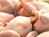 Prepelite: carne, oua, taietei, afumate, marinate, congelate, maioneza, pate, carne inabusita etc.. — фото 2