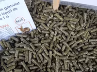Vînd nutret pentru-- pui kurkani boboci — الصورة 2