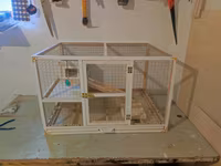 Papuqay,dovşan,hamster,şinşila,bildirçin,cücə,xamyak,pişik,quş,tısbağa — 1-сурет