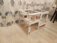 Dovşan,hamster,dağ — Foto 2