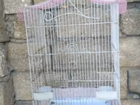 Vatsapla elaqe saxlasyin quslar qefesler Məhsul: Nimfa (Cockatiel) — الصورة 3