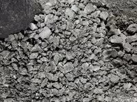 ПОДСОЛНЕЧНЫЙ ЖМЫХ-ПРОТЕИН 36% И ВЫШЕ — Foto 3