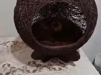 Ev heyvanları üçün dekorativ yuva/evcik - Material: tünd qəhvəyi — photo 3