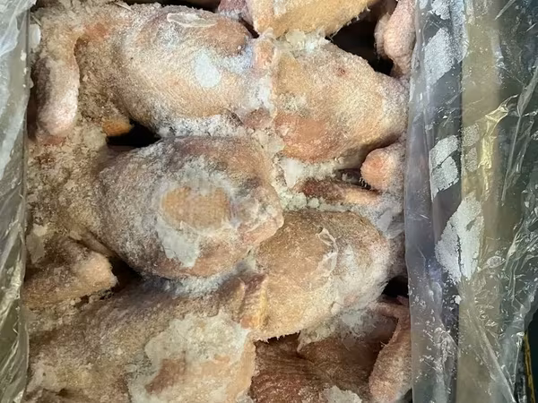 Chickens
