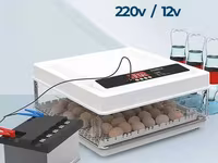Incubatoare-ouă Automate - fii in rind cu tehnologiile noi. — Foto 2