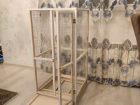 Papuqay,dovşan,hamster,şinşila,bildirçin,cücə,xamyak,pişik,quş,tısbağa — 4-rasm