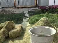 Молотковых Дробилок Измельчитель сена Дробилка для Кукурузы — фото 1