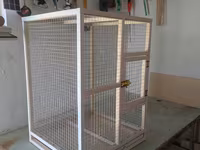 Papuqay,dovşan,hamster,şinşila,bildirçin,cücə,xamyak,pişik,quş,tısbağa — foto 4