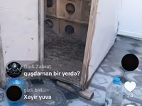 Göyərçin yuvası satılır hündürlüyü 1.50 eni 1.30 uzunu 1. 50 Hər yani — الصورة 1