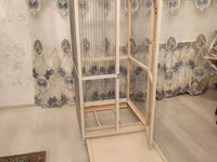Papuqay,dovşan,hamster,şinşila,bildirçin,cücə,xamyak,pişik,quş,tısbağa — 2-rasm