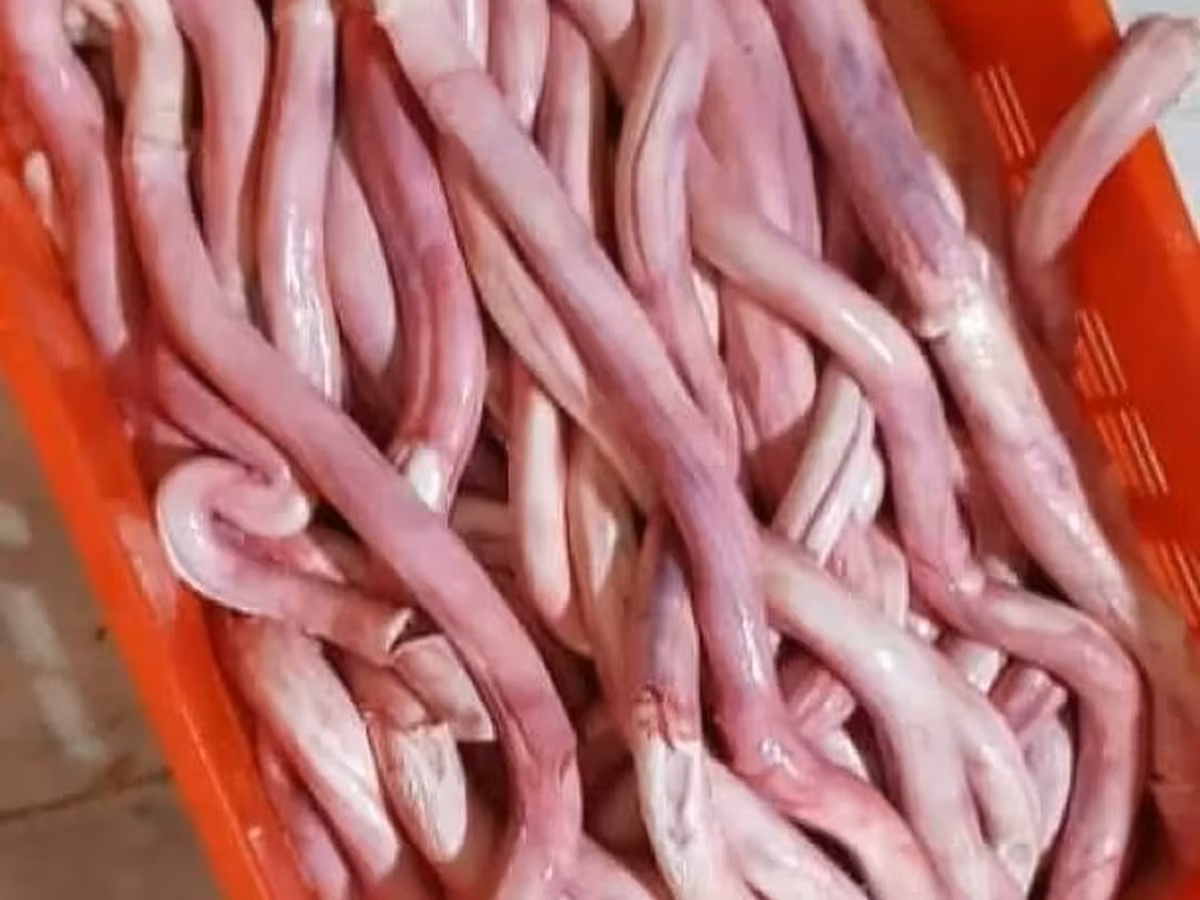 Rindfleisch
