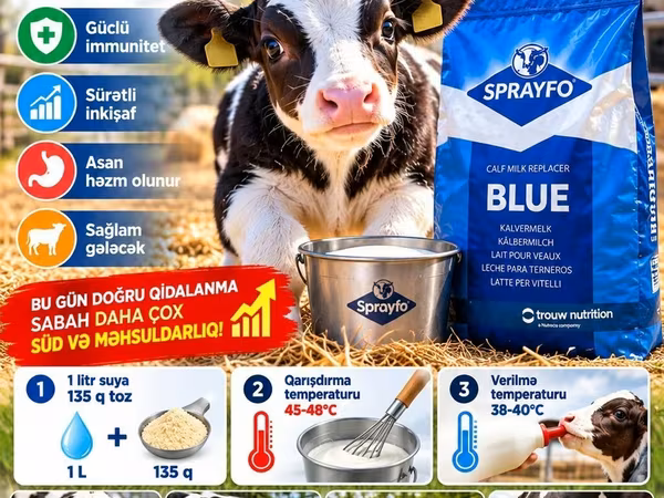 SPRAYFO BLUE – Buzovlar üçün quru süd / süd / süd qurusu / buzov