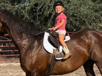 Кобила, Quarter Horse — фото 2