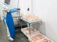 Мясо цыпленка разделка, охл зам, по тз — الصورة 1